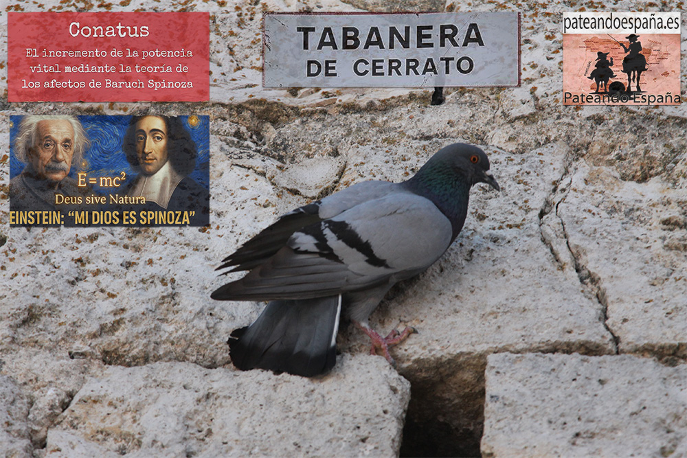 Tabanera de Cerrato